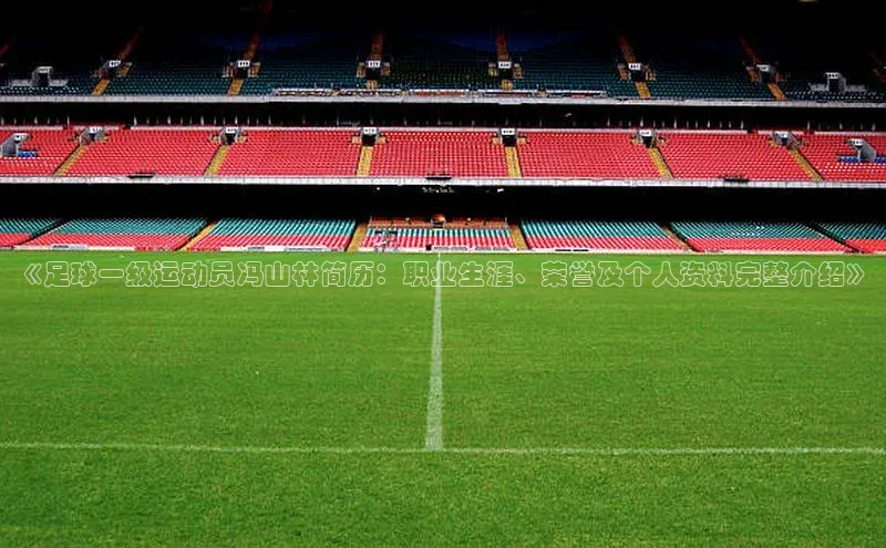 星空体育综合中国官网百度人工翻译《足球一级运动员冯山林简历：职业生涯、荣誉及个人资料完整介绍》