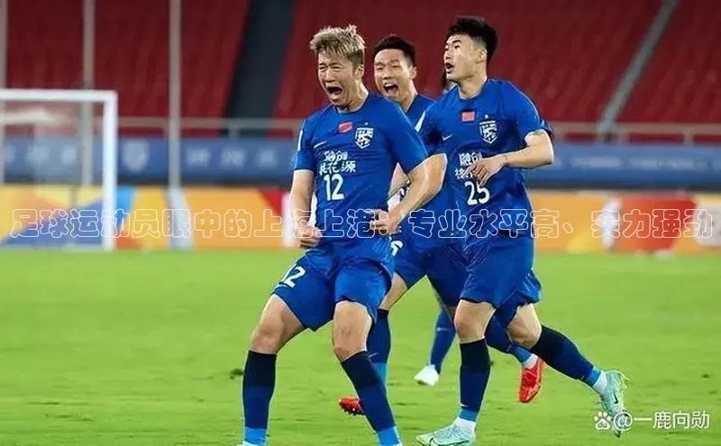 星空体育官方网站百度Apollo足球运动员眼中的上海上港：专业水平高、实力强劲