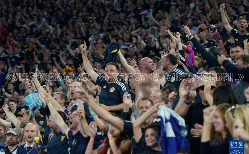 星空综合官网每日互动《刘建足球运动员身高：究竟有多高？揭秘刘建的身高数据！》