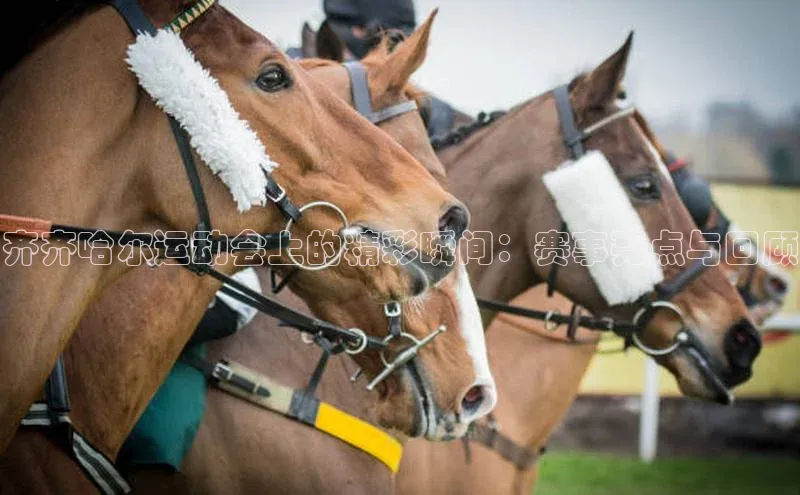 齐齐哈尔运动会上的精彩瞬间：赛事亮点与回顾