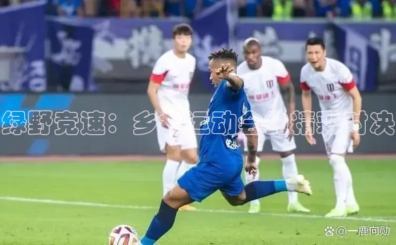 绿野竞速：乡村运动会的精彩对决