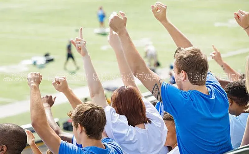 点燃激情，共享荣耀：积极承办高水平运动赛事的策略与展望