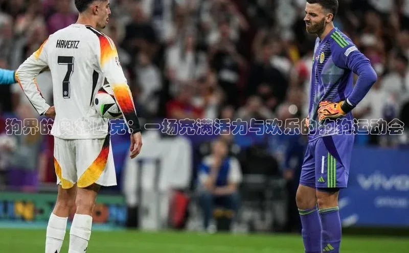 狗界的奥林匹克：一场充满活力与欢乐的狗狗运动会