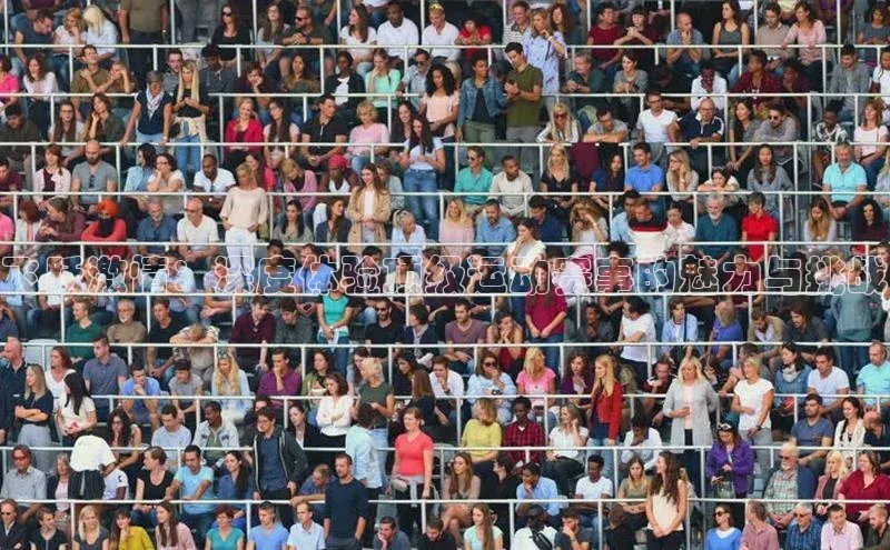 飞跃激情：深度体验顶级运动赛事的魅力与挑战