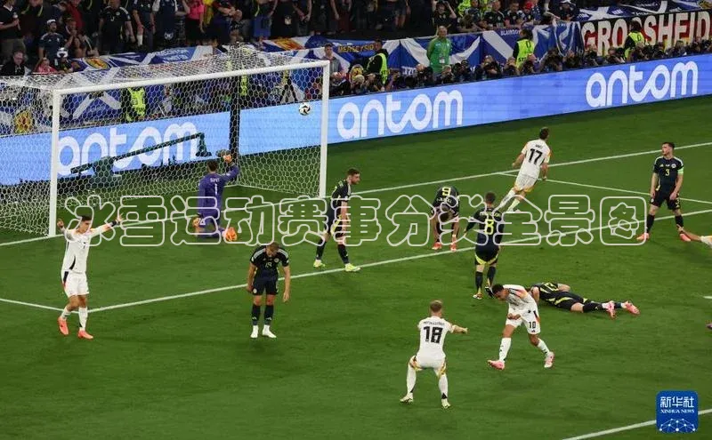 冰雪运动赛事分类全景图