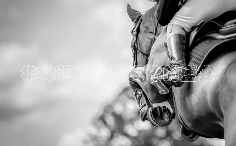 华体汇：体育文化的盛宴