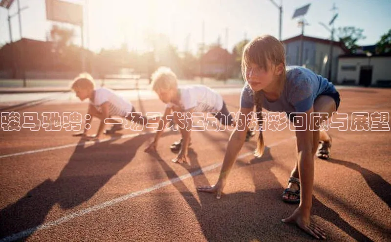骏马驰骋：一场马术运动的精彩回顾与展望