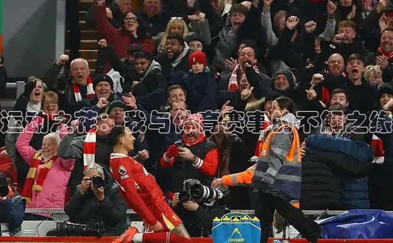 运动之花：我与体育赛事的不解之缘