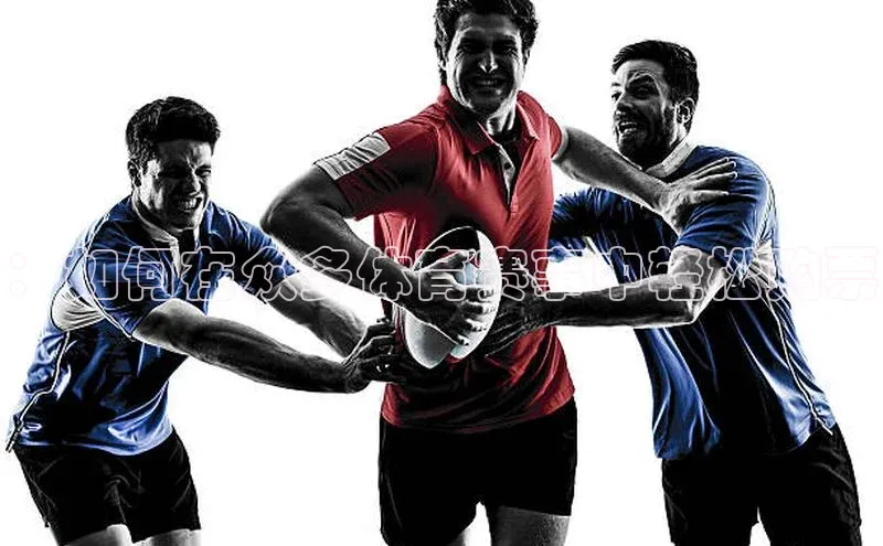 星空综合体育网页版登录