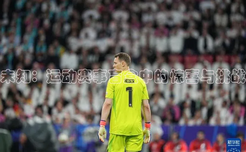 星空综合(中国)官方网站官网