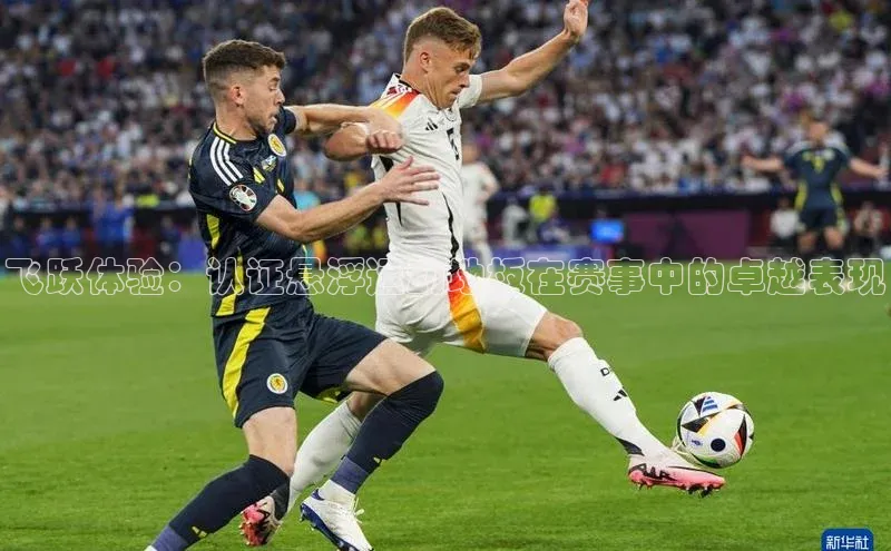 星空手机网页版登录入口