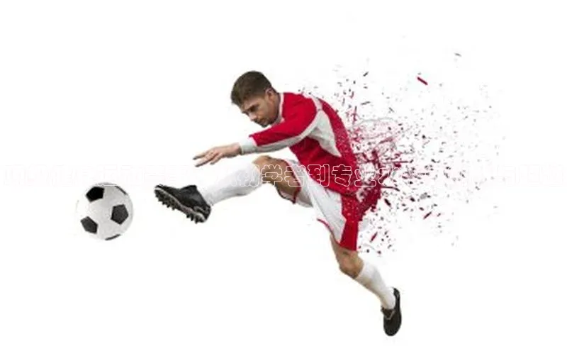 星空·体育综合APP下载官网